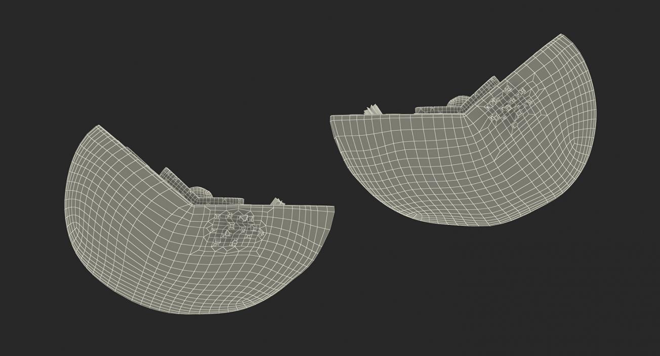 Typical Animal Cell 3D model