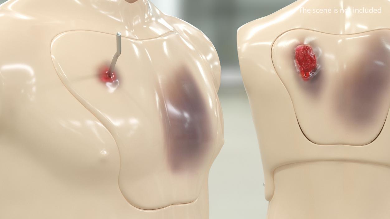 3D Injured Firstaid Mannequin Body