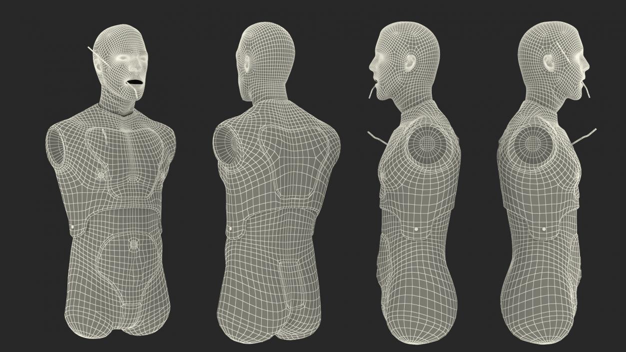 3D Injured Firstaid Mannequin Body