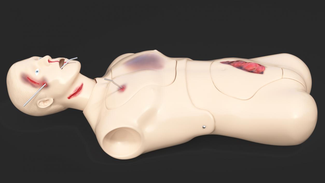 3D Injured Firstaid Mannequin Body