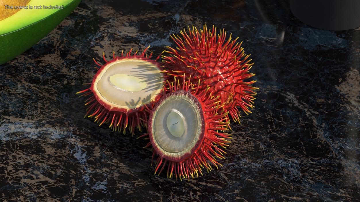 3D Tropical Fruit Rambutan model