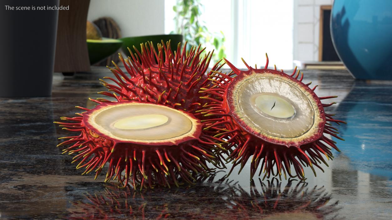 3D Tropical Fruit Rambutan model