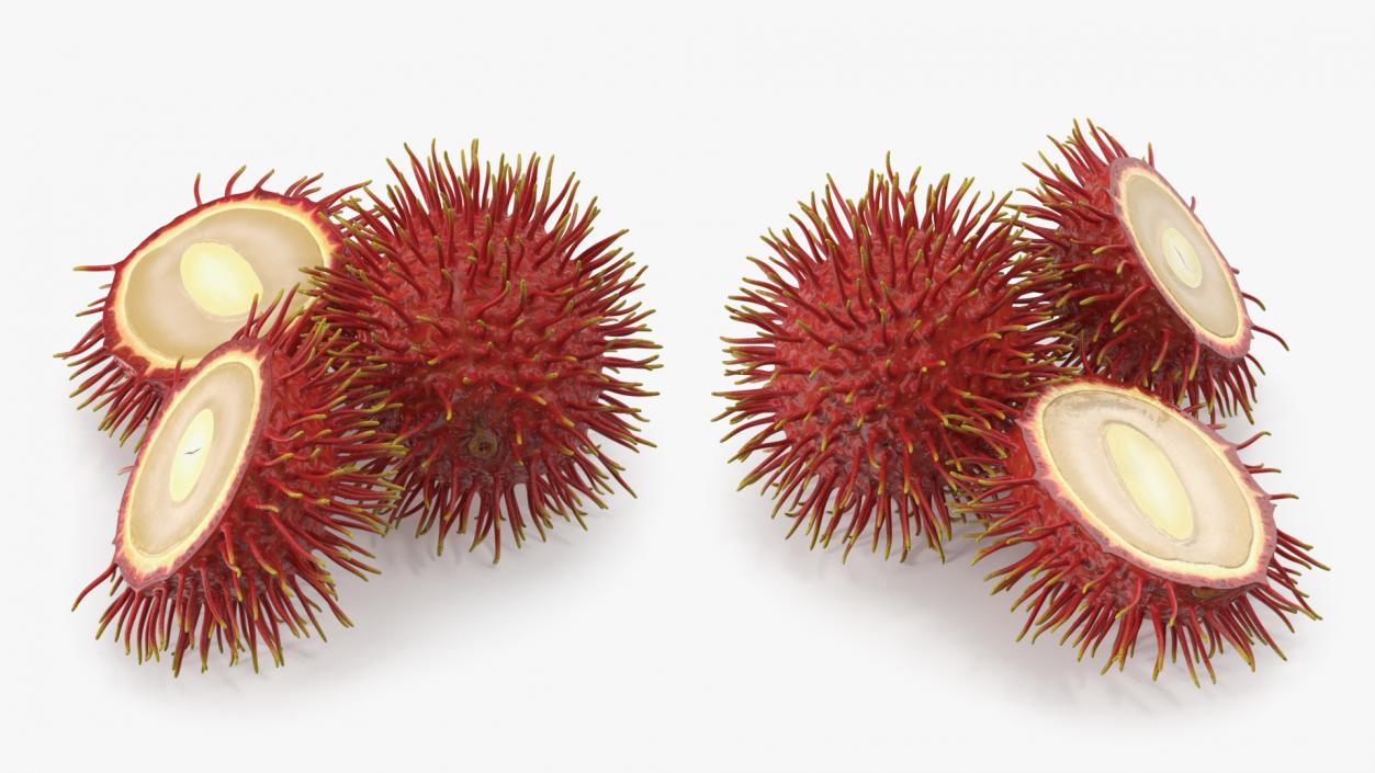 3D Tropical Fruit Rambutan model