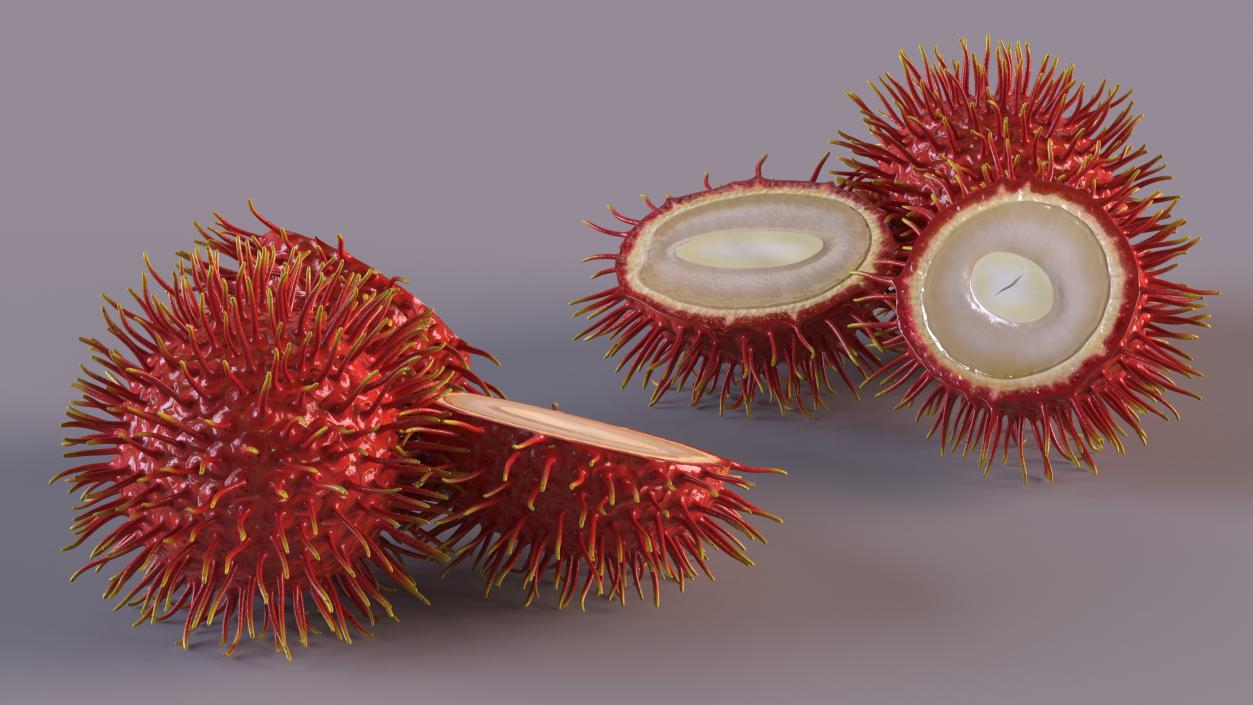 3D Tropical Fruit Rambutan model