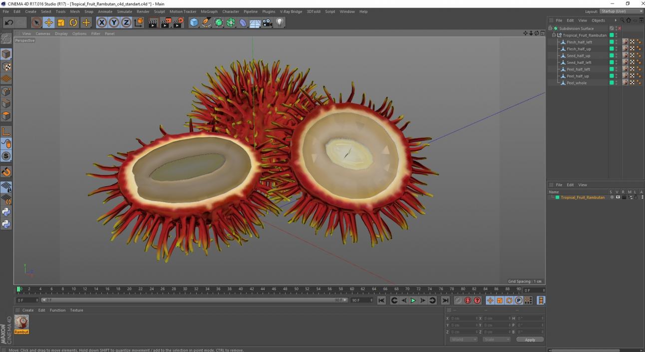 3D Tropical Fruit Rambutan model