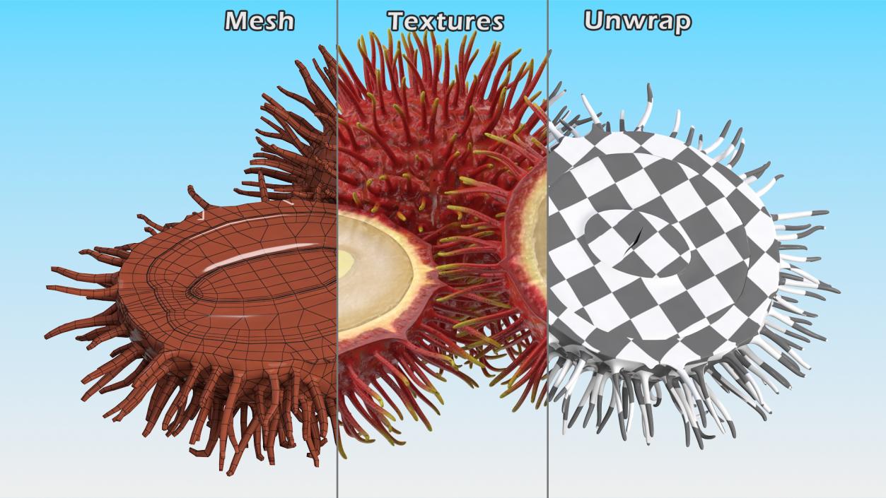 3D Tropical Fruit Rambutan model