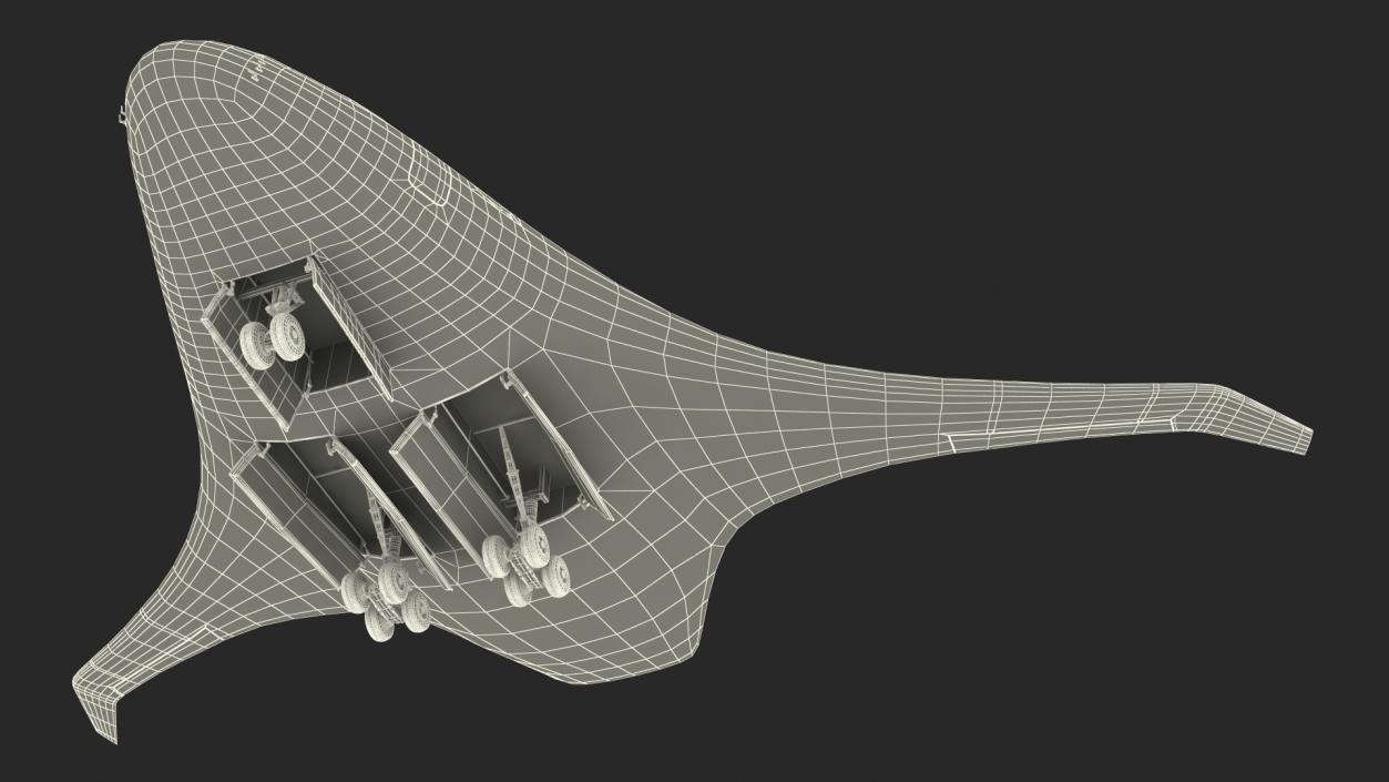 Ecological Aircraft Blended-Wing Body Rigged 3D model