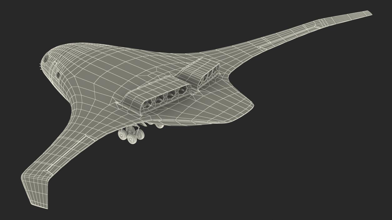 Ecological Aircraft Blended-Wing Body Rigged 3D model