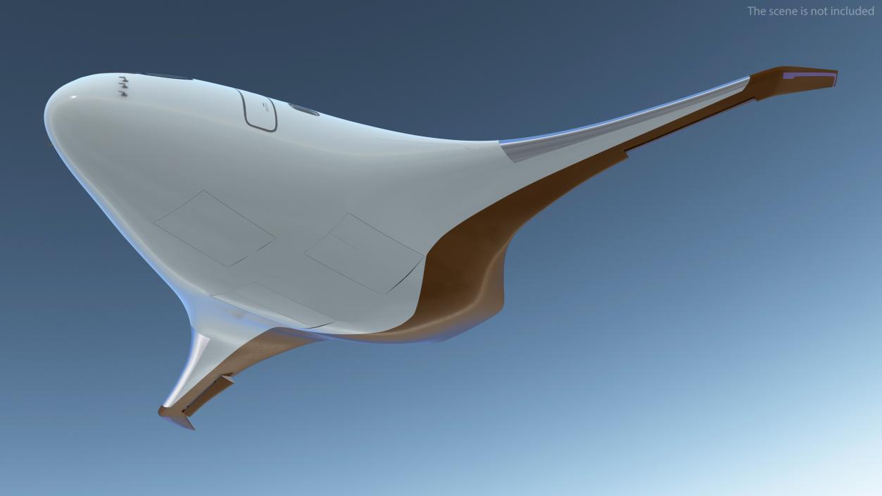 Ecological Aircraft Blended-Wing Body Rigged 3D model