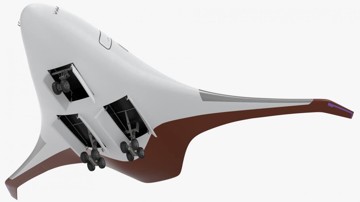 Ecological Aircraft Blended-Wing Body Rigged 3D model