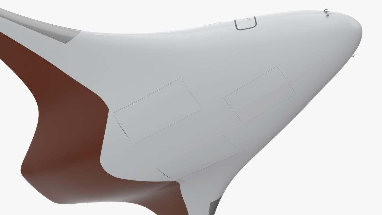 Ecological Aircraft Blended-Wing Body Rigged 3D model