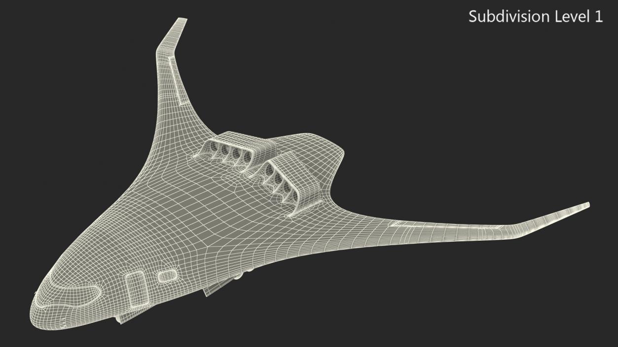 Ecological Aircraft Blended-Wing Body Rigged 3D model