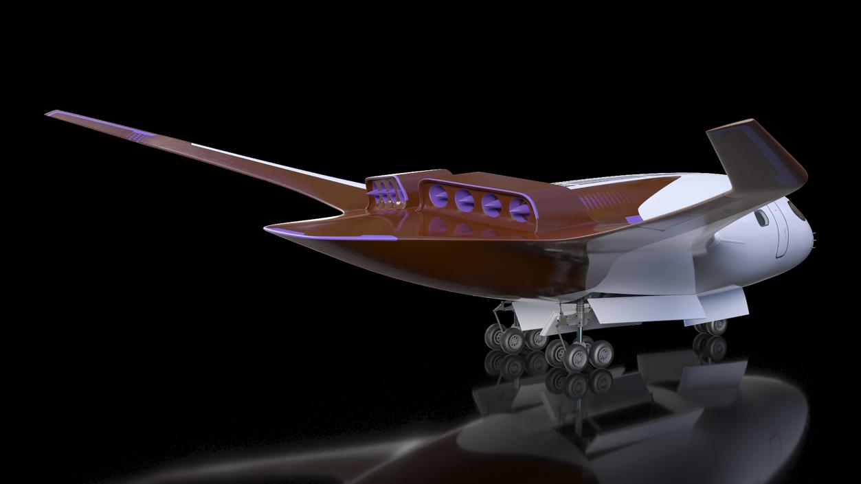 Ecological Aircraft Blended-Wing Body Rigged 3D model