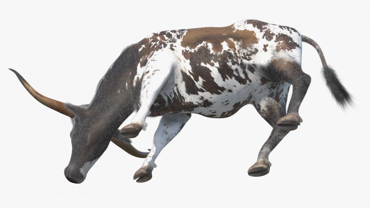 Texas Longhorn Cattle Mottled Brown Fur 3D model