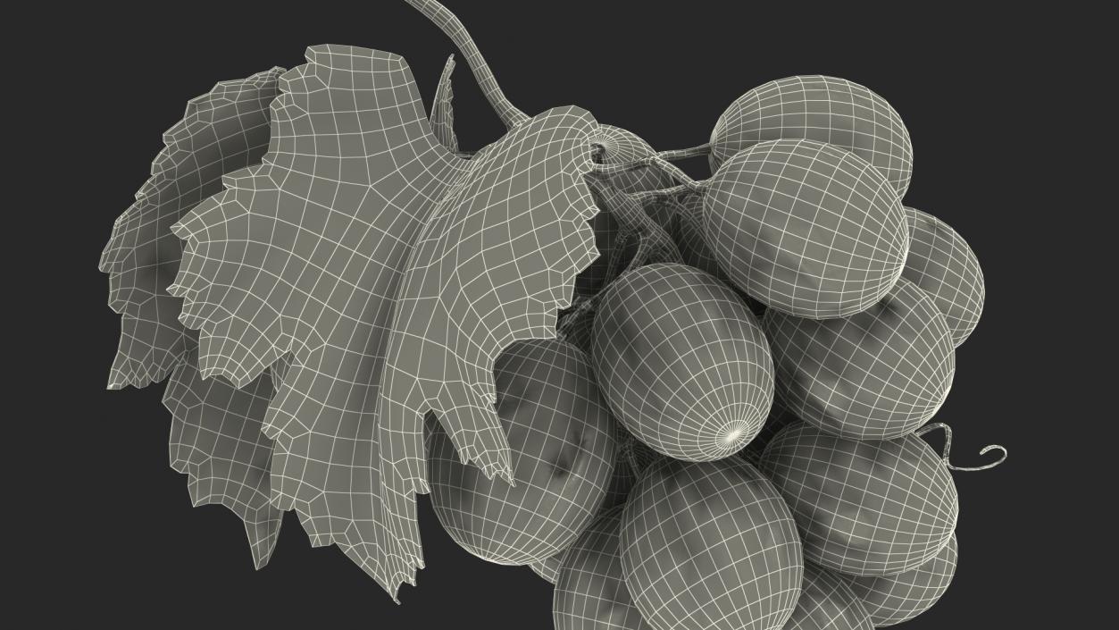 Bunch of Fresh Green Grapes 3D