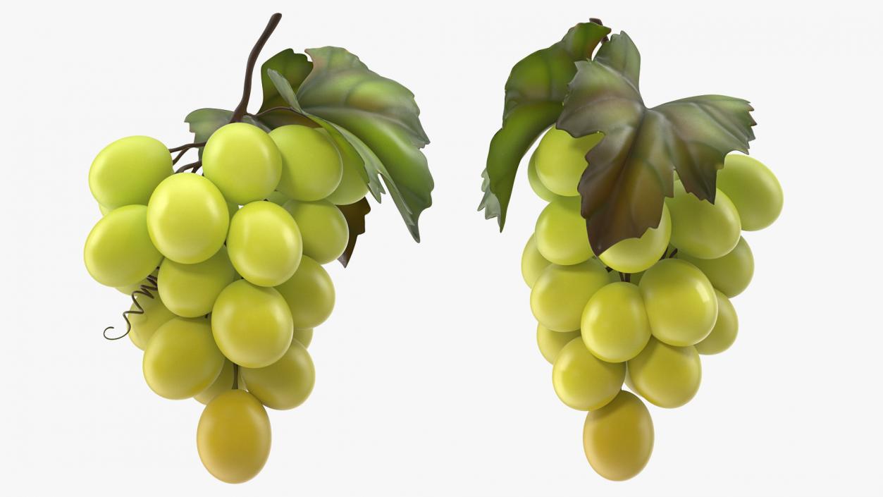 Bunch of Fresh Green Grapes 3D