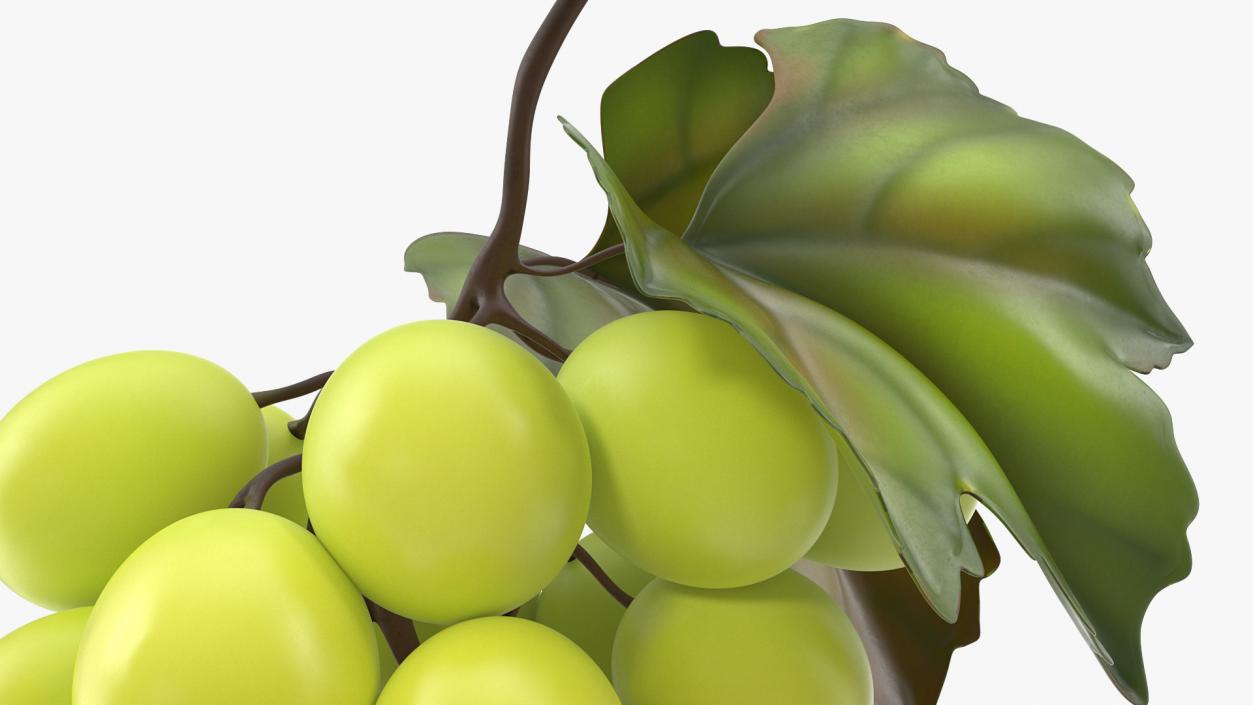 Bunch of Fresh Green Grapes 3D