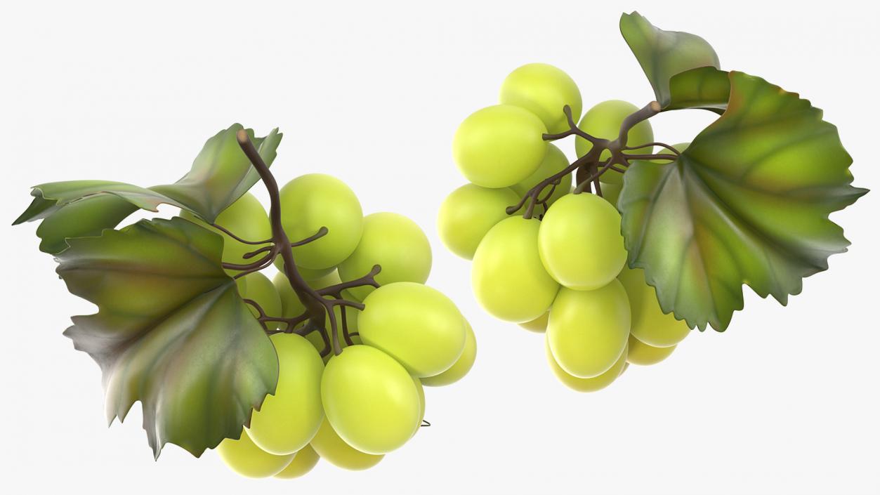 Bunch of Fresh Green Grapes 3D