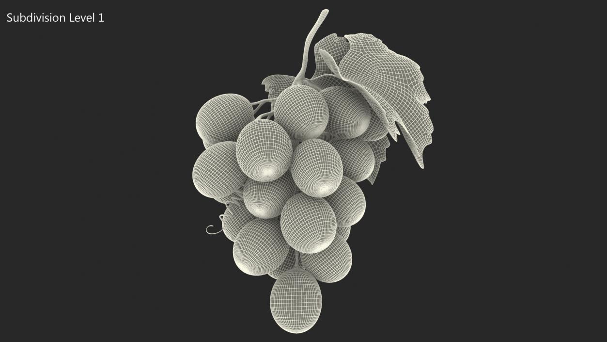 Bunch of Fresh Green Grapes 3D