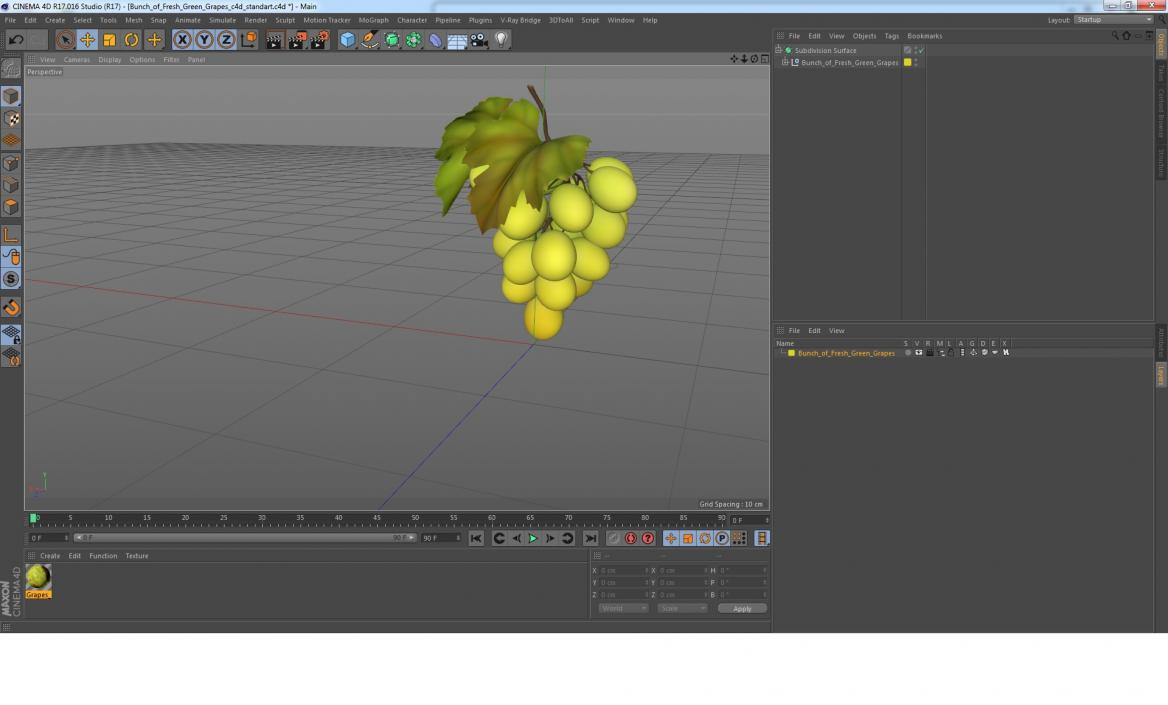 Bunch of Fresh Green Grapes 3D