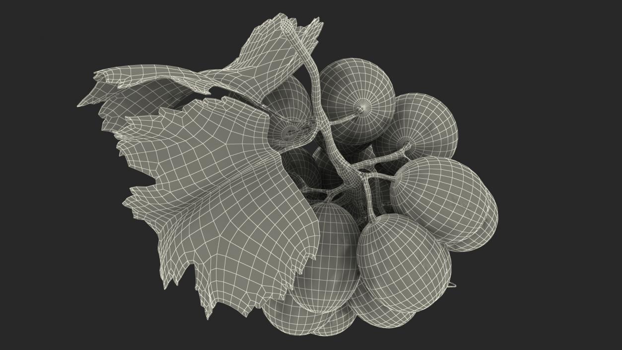 Bunch of Fresh Green Grapes 3D