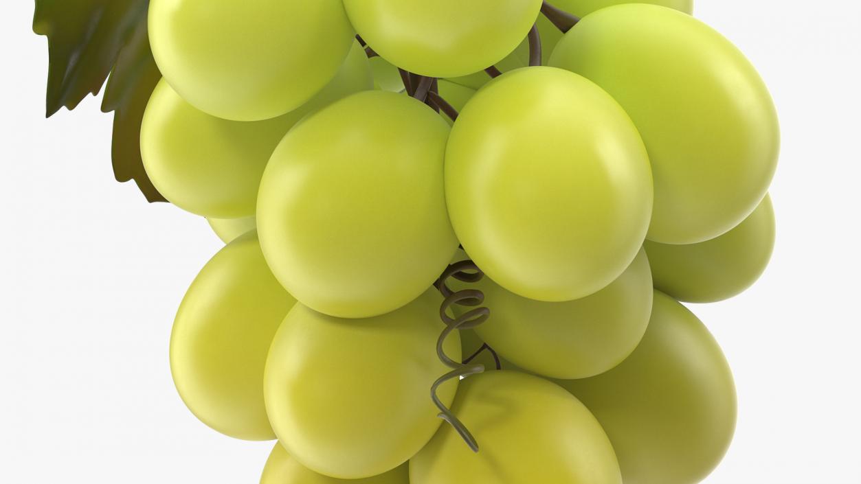 Bunch of Fresh Green Grapes 3D