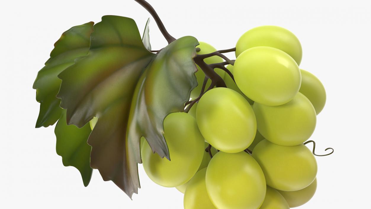 Bunch of Fresh Green Grapes 3D