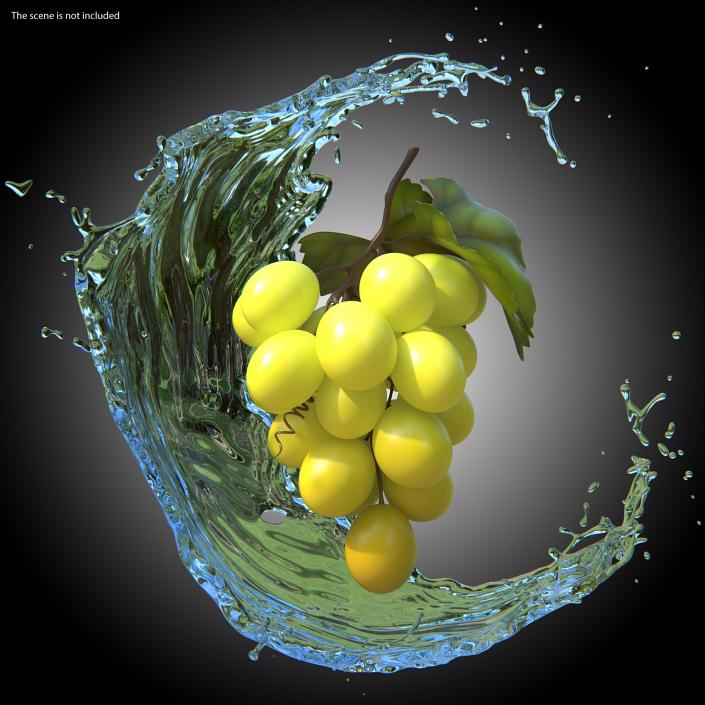 Bunch of Fresh Green Grapes 3D