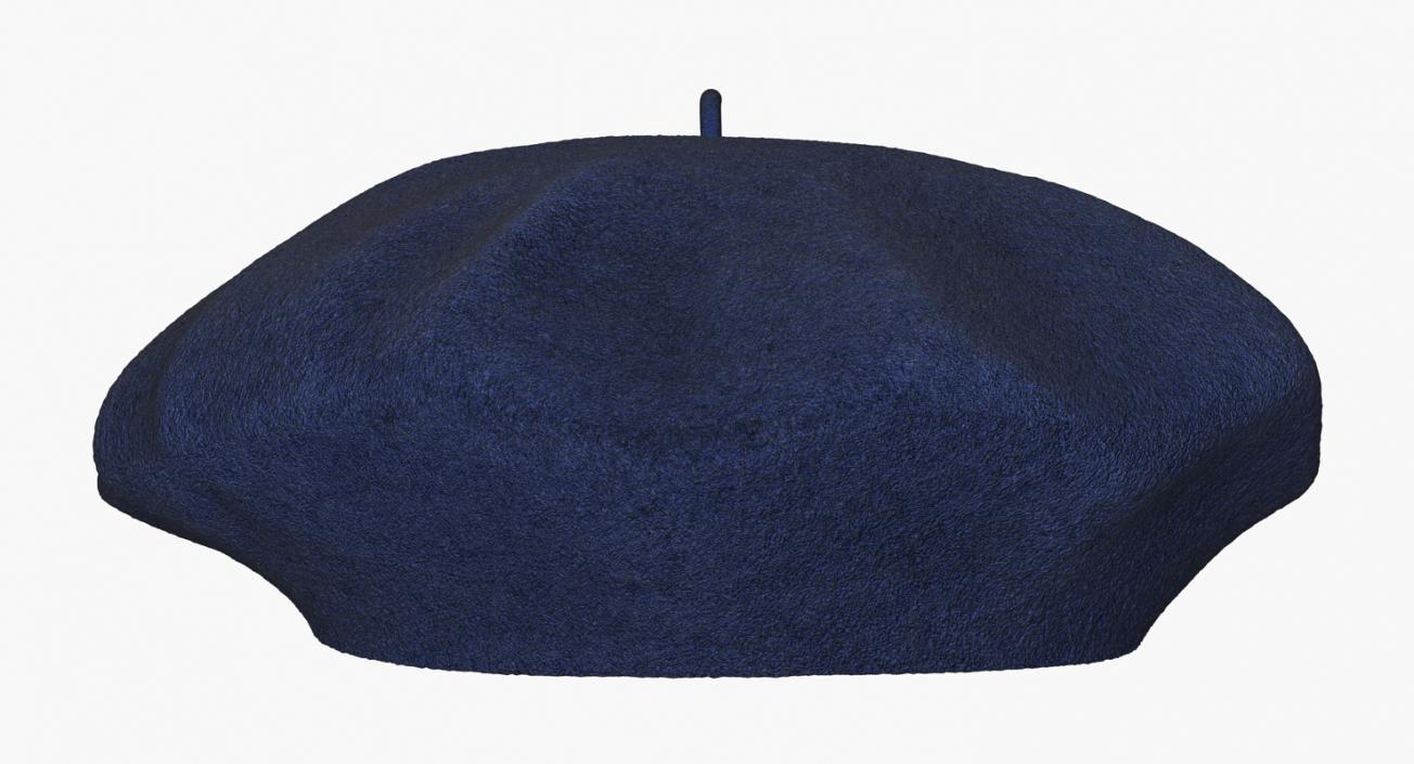 3D model Wool Blue Beret