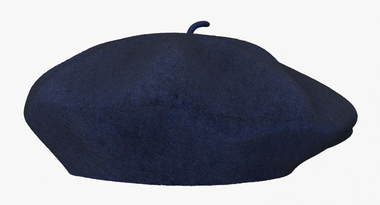 3D model Wool Blue Beret