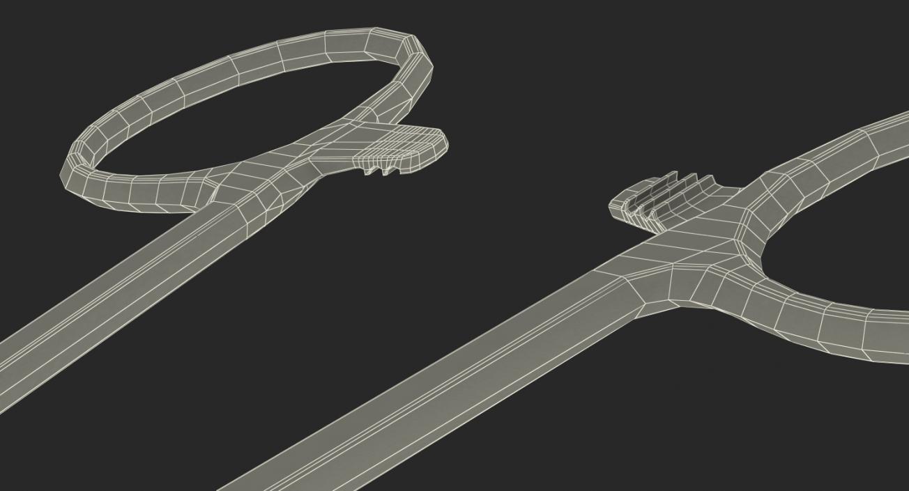 Sponge Forceps 3D model