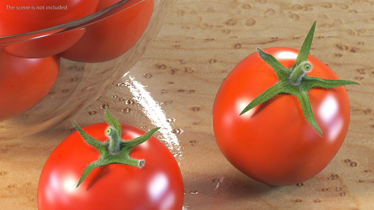 3D Cherry Tomatoes in Glass Bowl Fur model