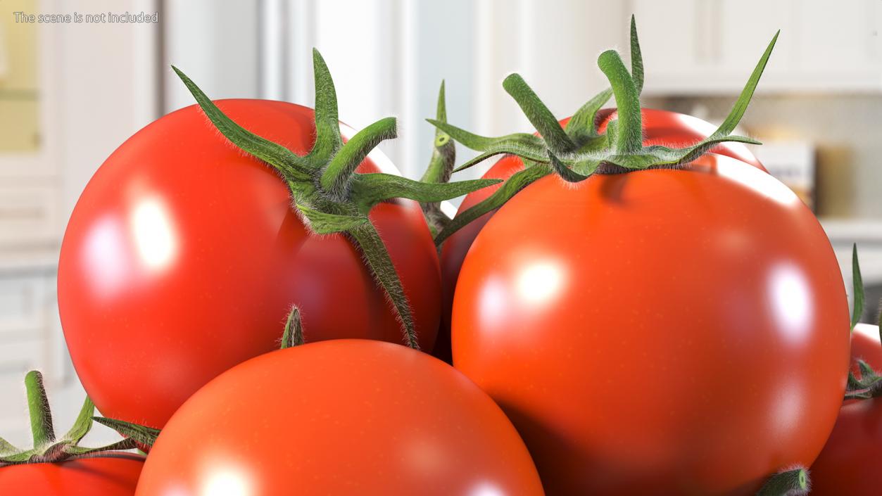 3D Cherry Tomatoes in Glass Bowl Fur model