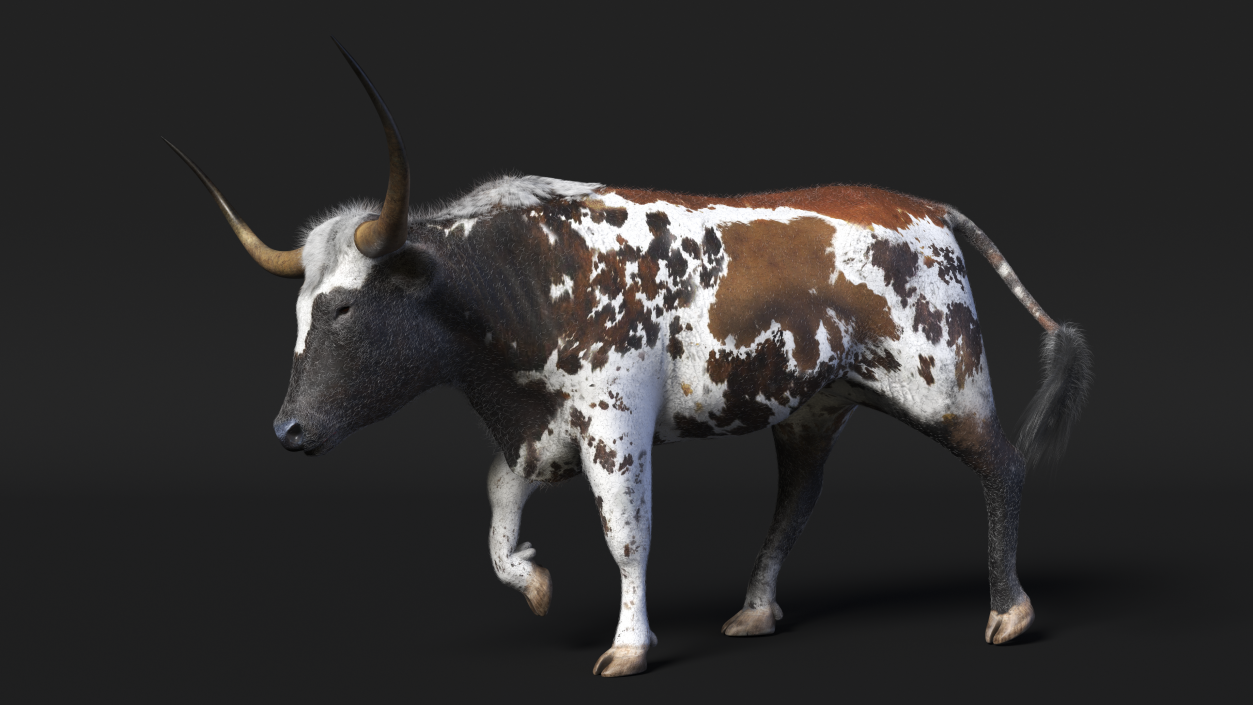 Mottled Brown Longhorn Bull Walking Pose Fur 3D model