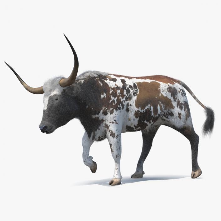 Mottled Brown Longhorn Bull Walking Pose Fur 3D model