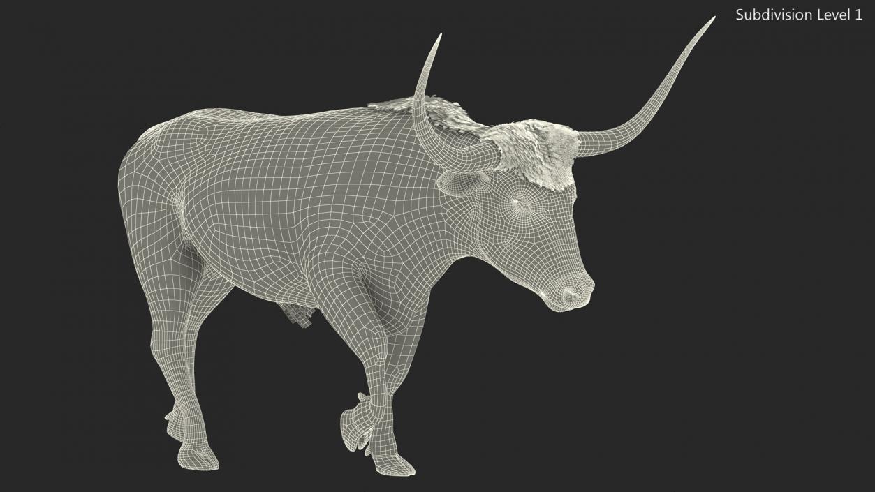 Mottled Brown Longhorn Bull Walking Pose Fur 3D model