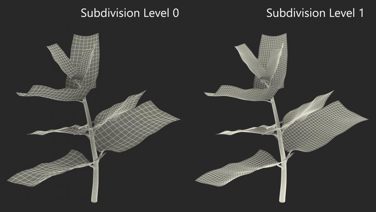 Plant Sprout 2 3D model