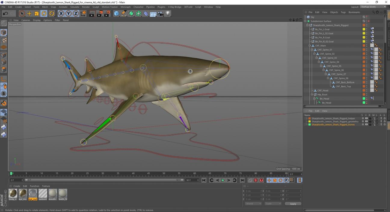 3D Sharptooth Lemon Shark Rigged for Cinema 4D model