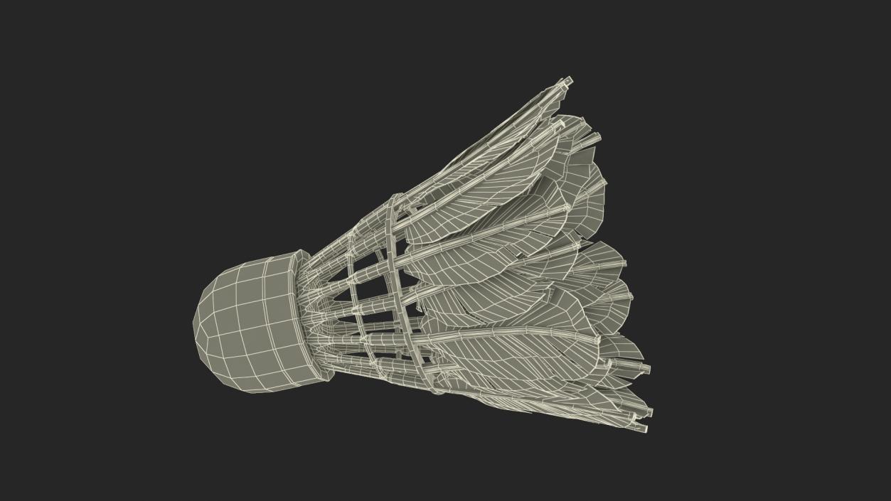 3D Feather Shuttlecock Old model