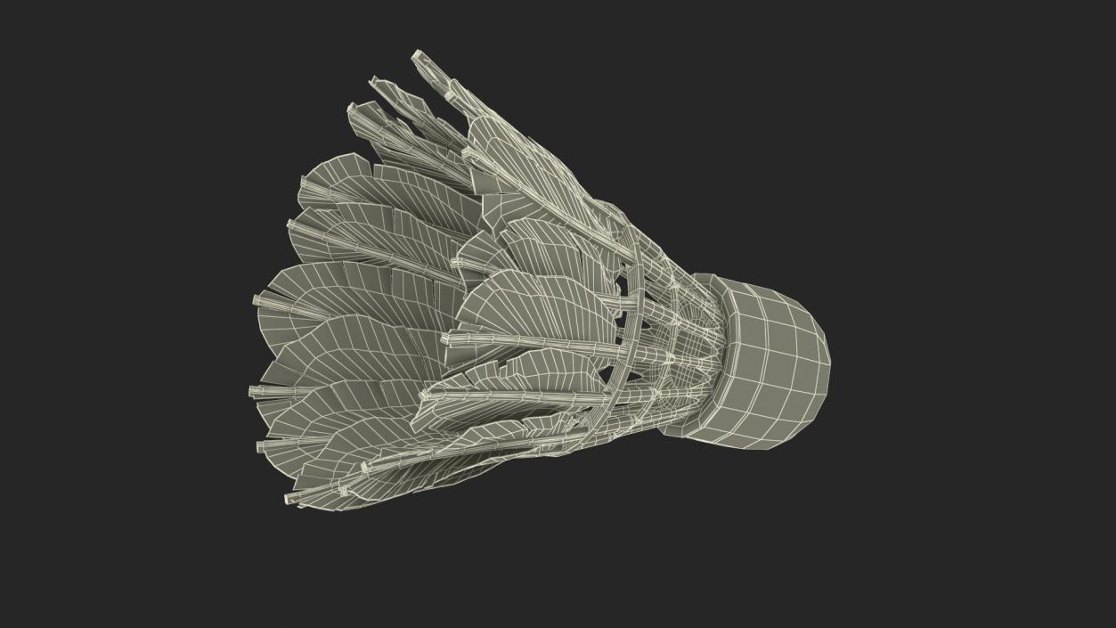 3D Feather Shuttlecock Old model