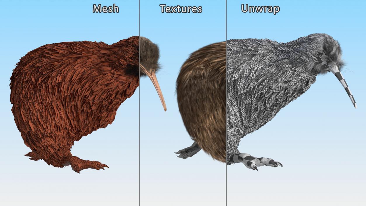 Run Pose Kiwi Bird Fur 3D