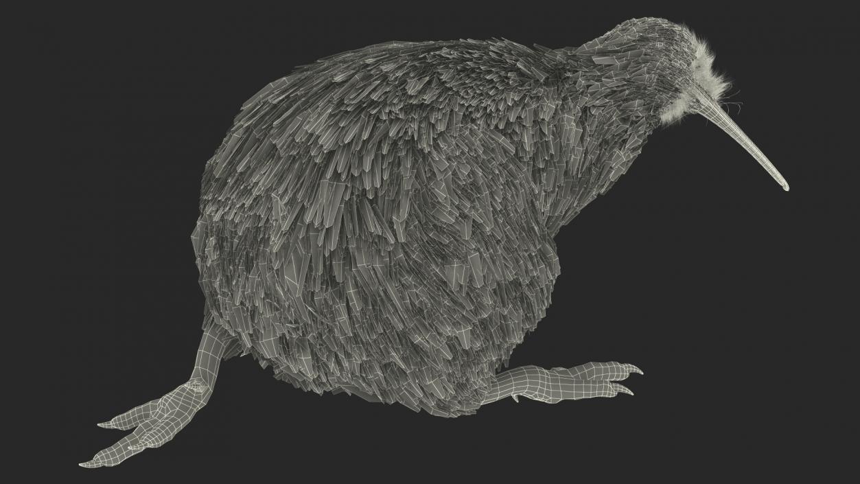 Run Pose Kiwi Bird Fur 3D