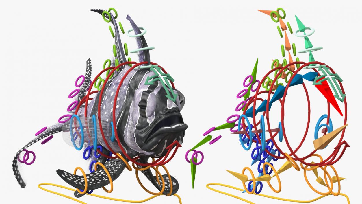 Longfin Cardinalfish Rigged 3D