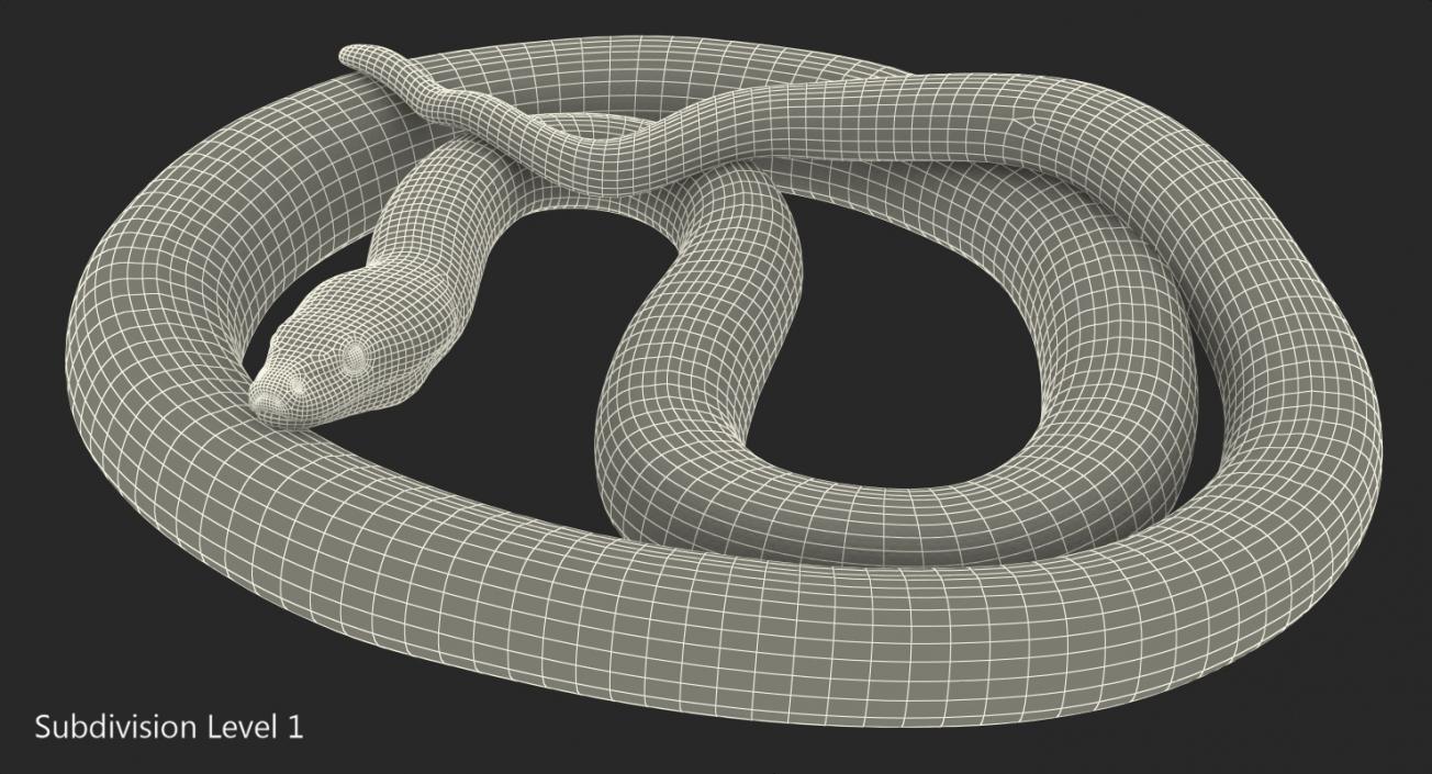 3D model Green Python Snake Curled Pose