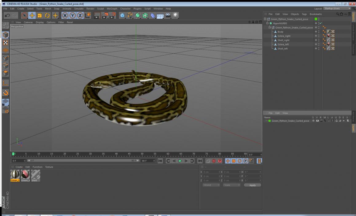 3D model Green Python Snake Curled Pose