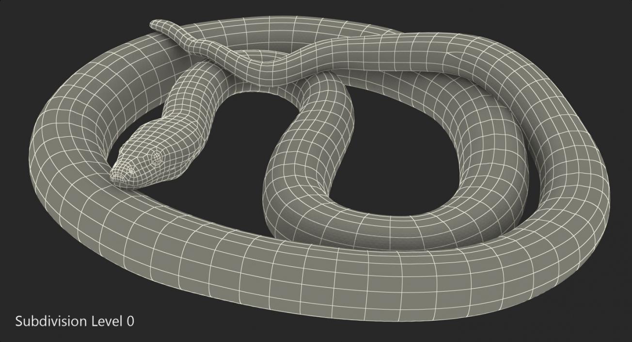 3D model Green Python Snake Curled Pose