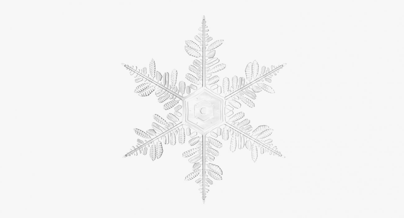 3D model Snow 3D Models Collection