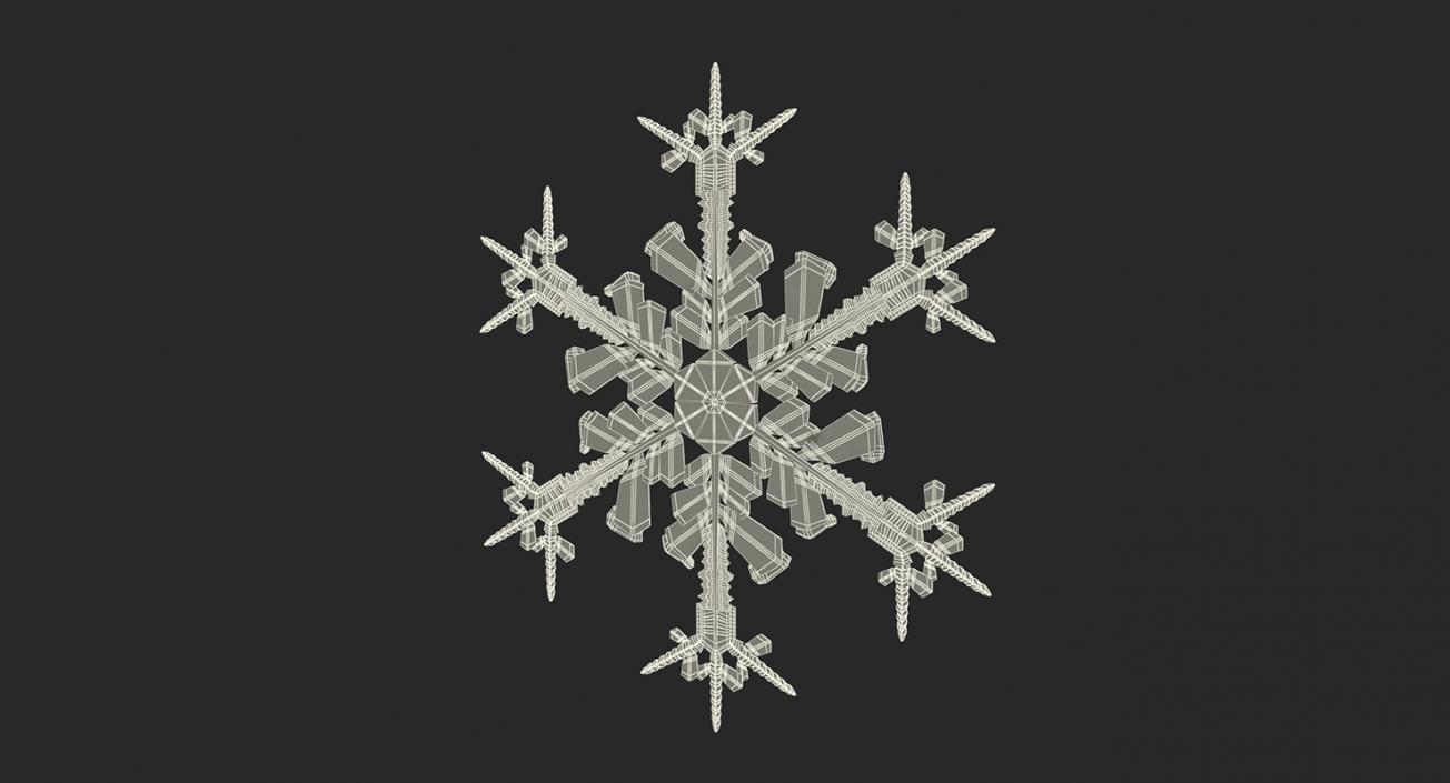 3D model Snow 3D Models Collection