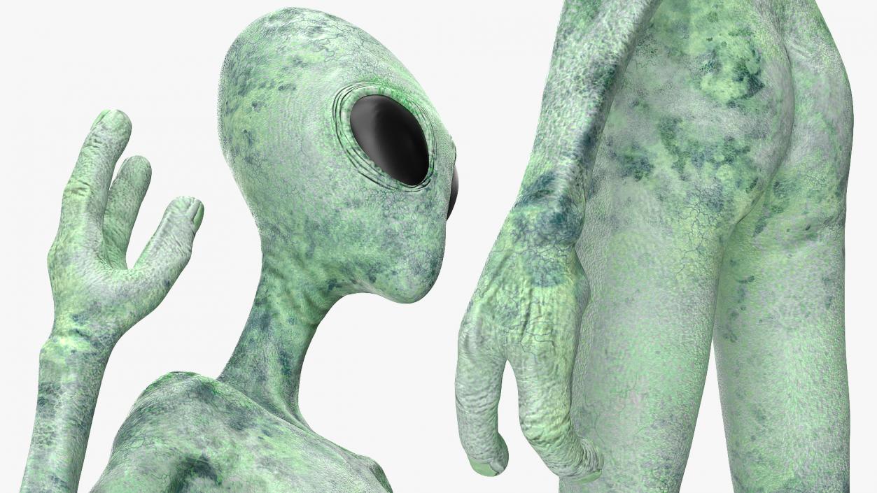 3D model Green Alien Greeting Pose