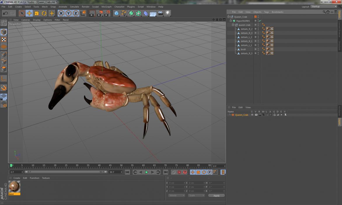 3D model Queen Crab